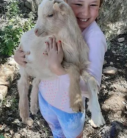 Matana Pensión 3*