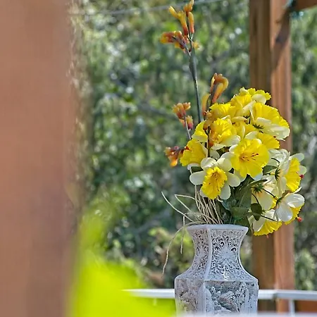 Matana Πανσιόν 3*